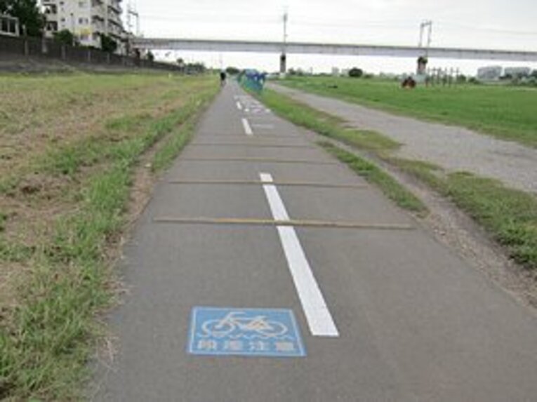 クルマのスピード低下目的では良くある仕掛けだが、自転車でも通用する……ということは断じて無い！