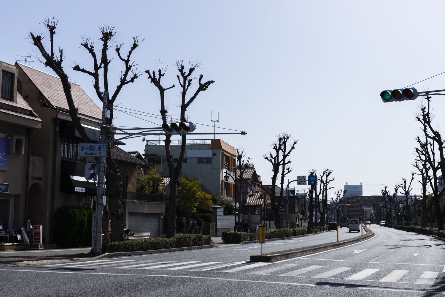 道路の並木も立派だった
