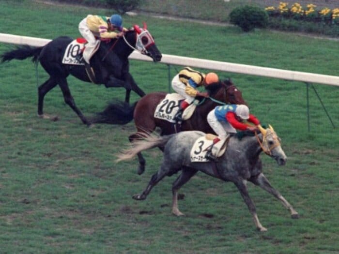 史上唯一“芦毛のダービー馬”ウィナーズサークルは引退後に…? “東大”で過ごした幸せな晩年「学生さんにとってもありがたい馬でした」<Number Web> photograph by Sankei Shimbun