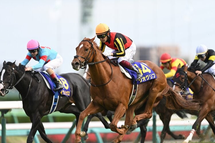 1分50秒で13億円稼いだ」パンサラッサが話題…なぜサウジとドバイに日本