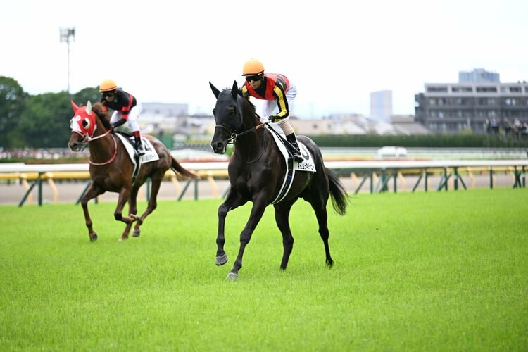 すべてが完璧だった」クロワデュノールの日本ダービー“現地ウラ側”…38