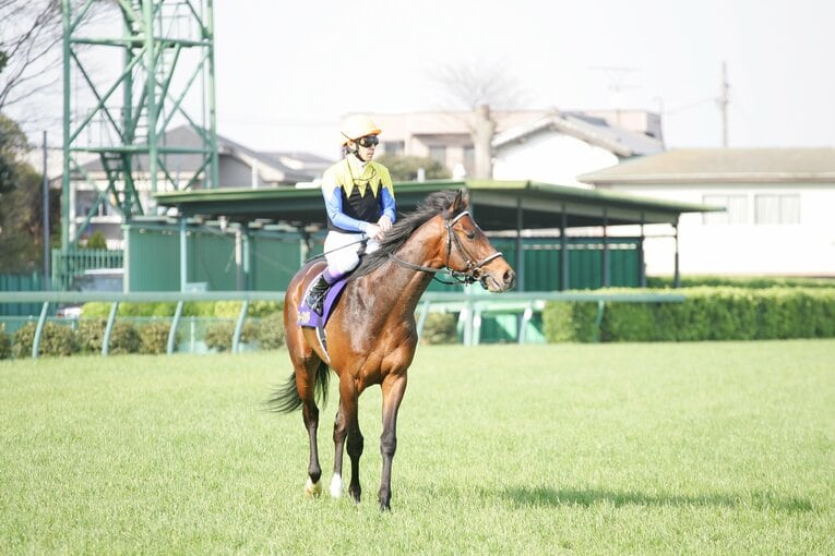 2005年皐月賞、グレートマジシャンの父・ディープインパクト　©Koji Asakura