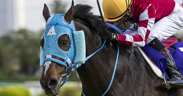 オジュウチョウサンパーカー／競馬／ 値下げしました！ オジュウチョウサンパーカー／競馬／ 値下げしました！の通販 by