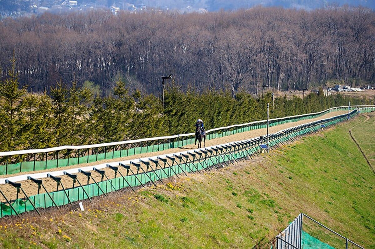 競馬を変えたノーザンファーム天栄 休み明けをプラスにする最強の外厩 競馬 Number Web ナンバー