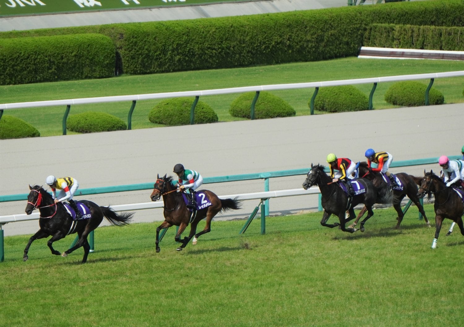 （左から）ユニコーンライオン、レイパパレ、クロノジェネシス