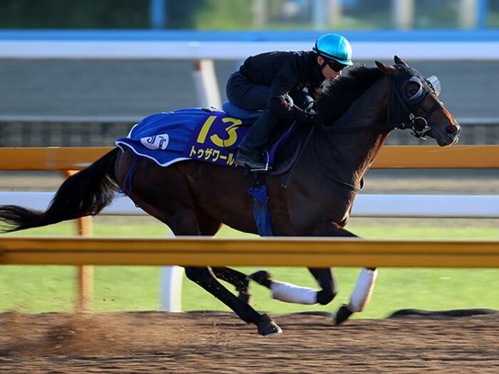 7年ぶりの牝馬か、超良血馬か……。見どころ満載、大混戦のダービー。<Number Web> photograph by Yuji Takahashi