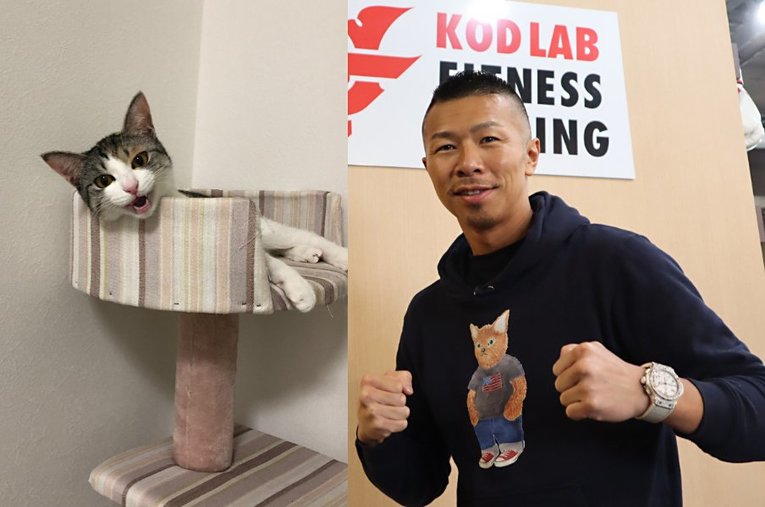 この取材のために猫パーカを着用した内山さん。ビルス（左）との2ショットに挑むも、逃げられて実現せず… ／ photograph by Takashi Uchiyama