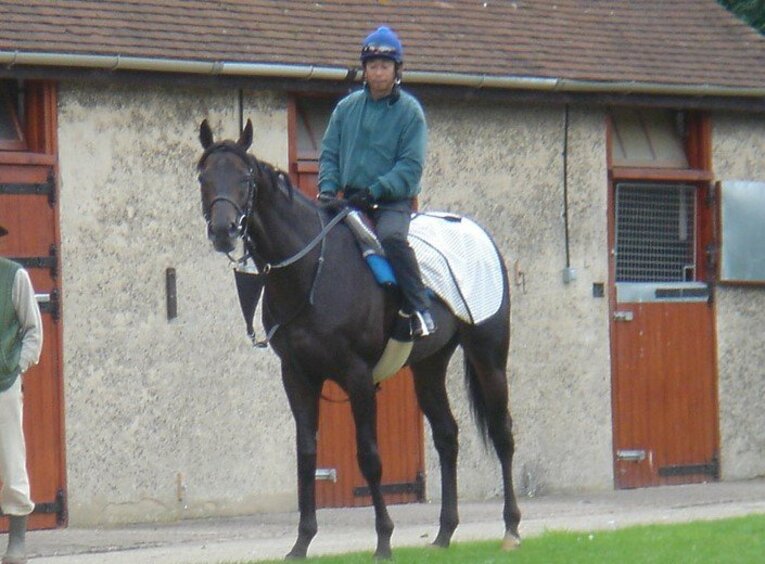 05年インターナショナルS挑戦時のゼンノロブロイと鹿戸騎手（当時）