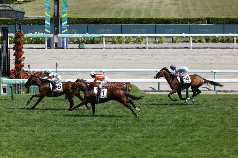 デビュー戦でのエフフォーリア　©Sankei Shinbun