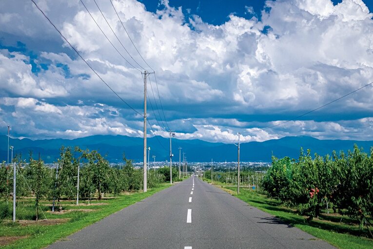 松田直樹が最後にプレーした松本の穏やかな風景　Takuya Sugiyama