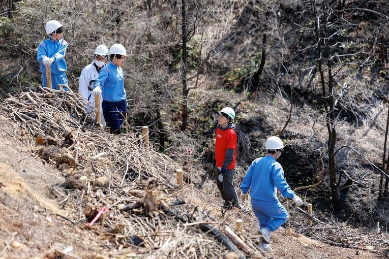 数名のグループに分かれ、急な傾斜をものともせずに次々と苗を植えていく