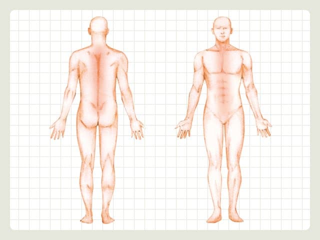 ローカル筋トレーニング 〜体幹の力をフル活用できる本当の体作り〜