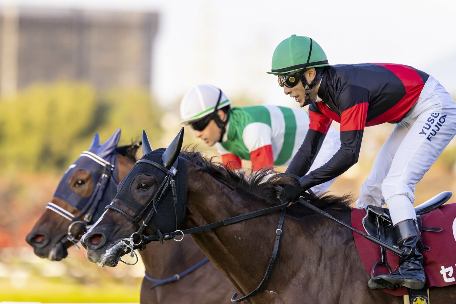 セリフォスはここまで無傷の3連勝。今回の鞍上は世界の名手・C.デムーロ