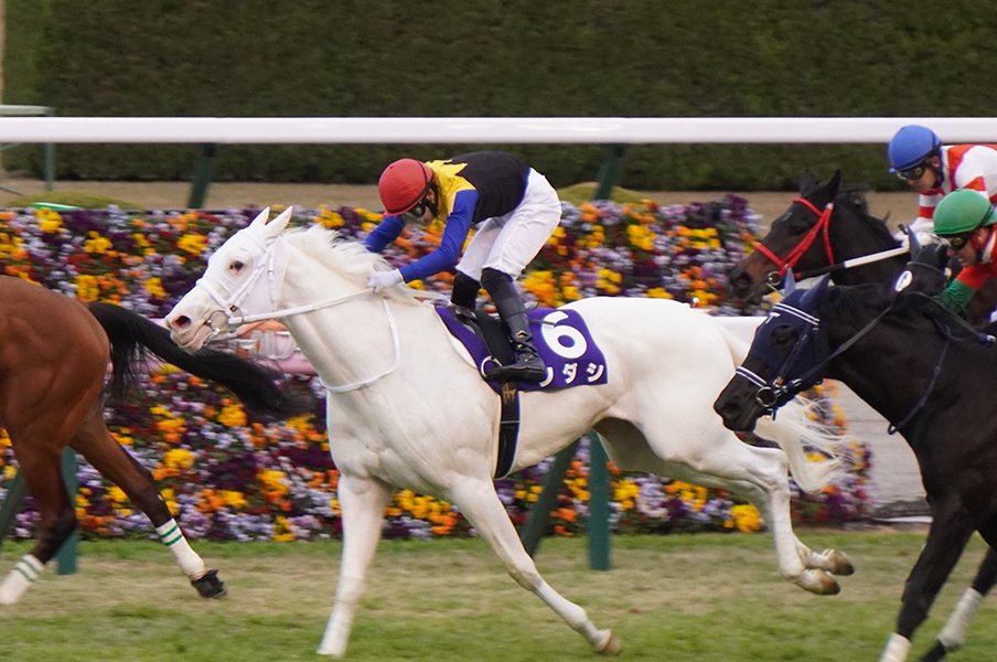 「ソダシはいい意味でクレイジーだね」「僕は彼女のファンですよ」 世界初の白毛GI馬に海外ジョッキーが寄せた声＜Number Web＞ photograph by Satoshi Hiramatsu