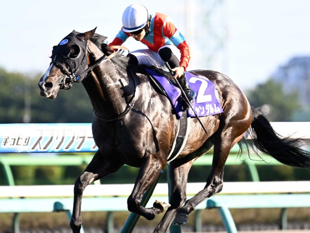 値下げ マイネルラヴ　スプリンターズS的中馬券 1番人気メイケイエールはなぜ不発に終わった？ 波乱の