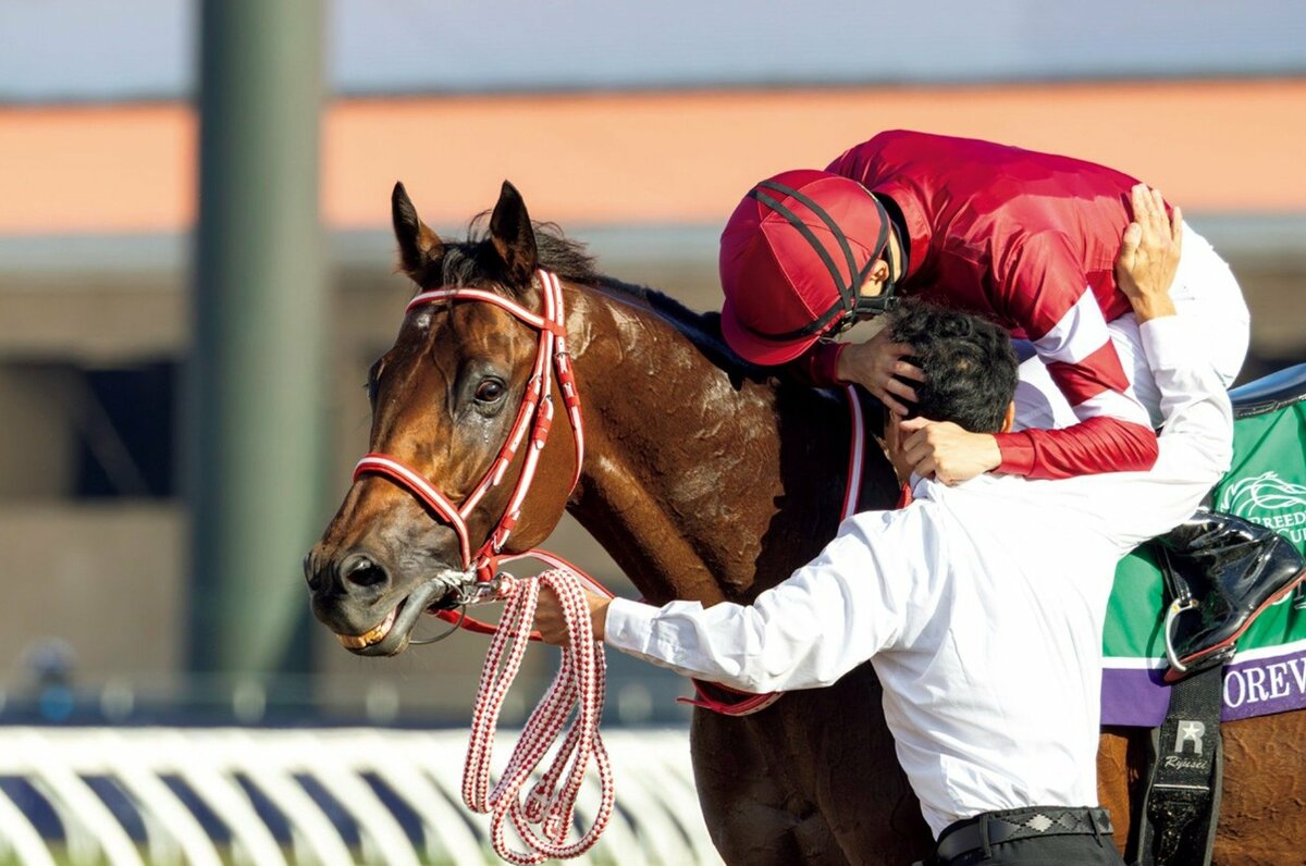 まねき馬　まねき馬倶楽部　競馬カード　フォーエバーヤング　坂井瑠星 最新弾 フォーエバーヤング BCクラシック +坂井瑠星 まねき馬倶楽部