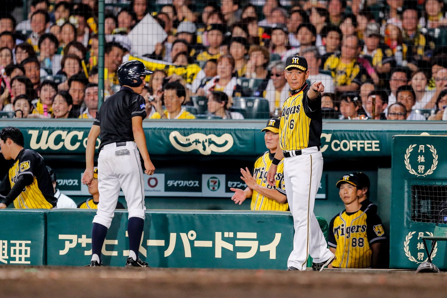 交代を命じる金本監督と矢野コーチ（写真は2017年）　©Kiichi Matsumoto
