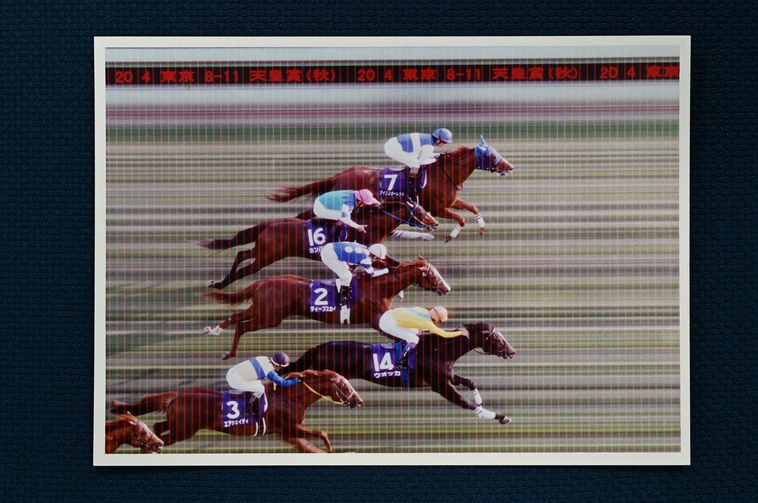 2008年天皇賞・秋の判定写真。世紀の大接戦はわずか2cm差でウオッカに軍配が上がった