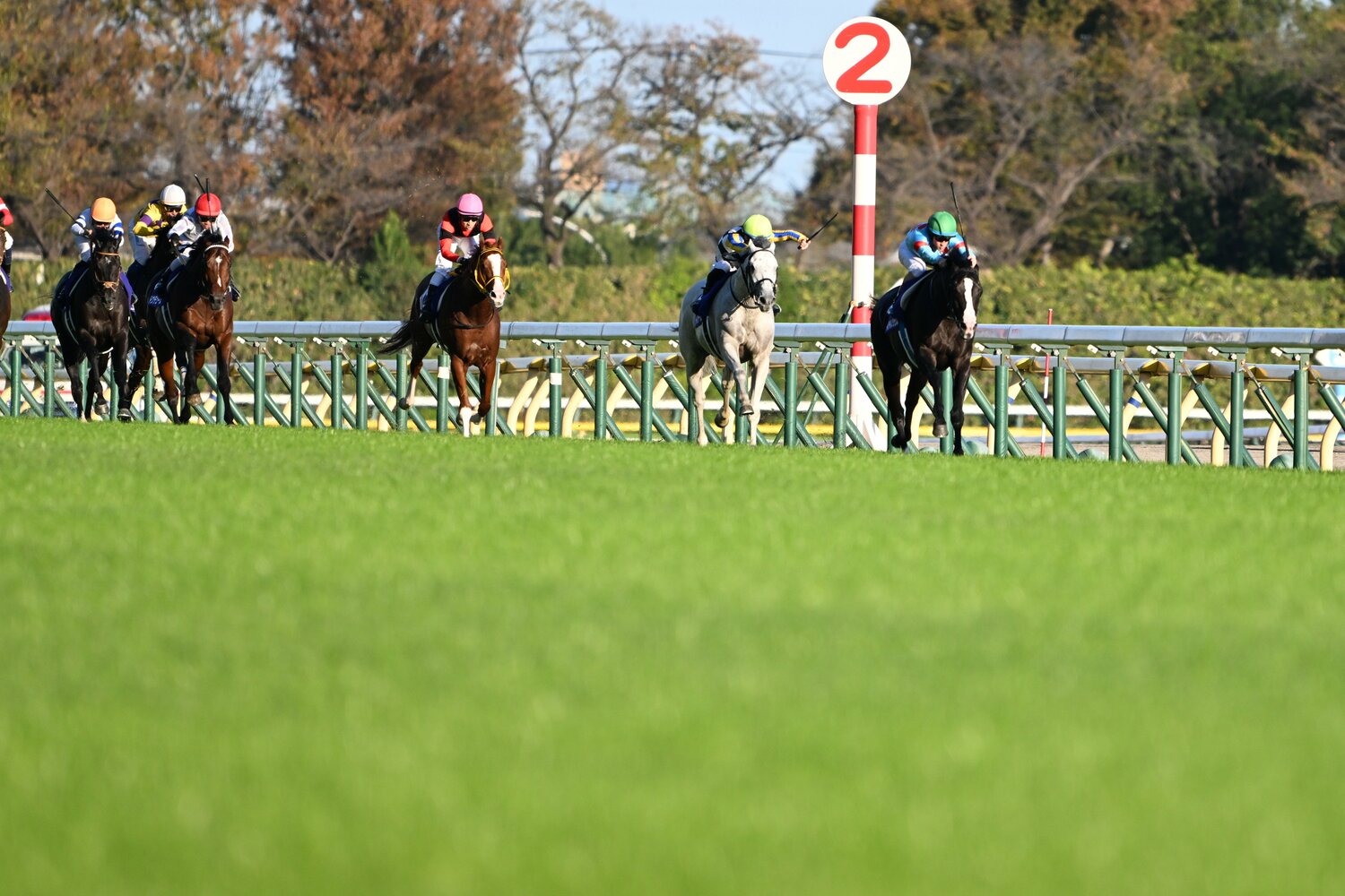 ハイペースを3番手で追走しながらも、余裕の手応えで抜け出すイクイノックス（右端）　©Keiji Ishikawa