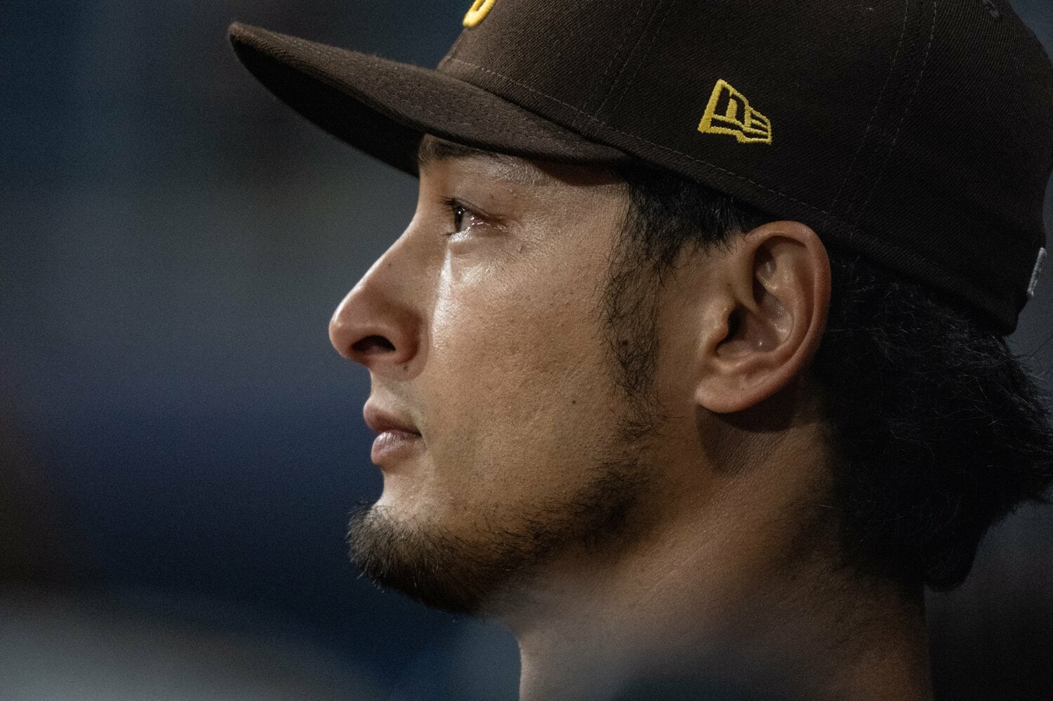 「彼と英語で話すのは楽しい」 ©Nanae Suzuki