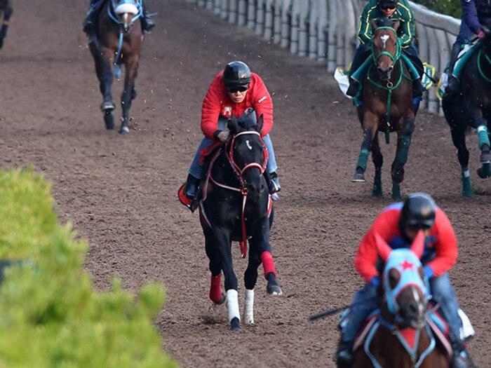 皐月賞で際立つ2頭の2歳GI馬。ライブで見たかった豪華メンバー。<Number Web> photograph by Yuji Takahashi