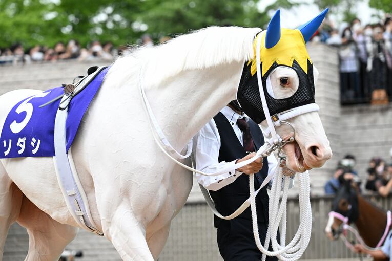 ソダシvsスターズオンアースは競馬史に残るレースとなるか？「ウオッカとダイワスカーレット」以来の“名牝ライバル誕生”を期待してしまう理由(29)