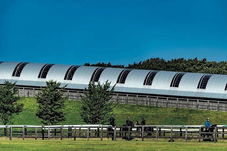 ノーザンファーム　©︎Takuya Sugiyama