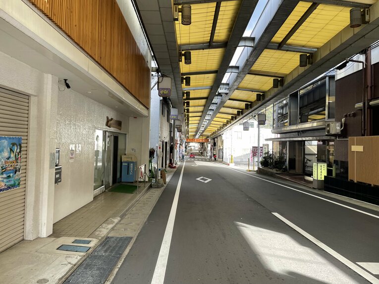 阿波池田駅前商店街 ©Aogu Tanaka