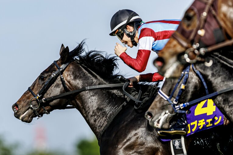 馬上で拳を握る松山弘平　©Kiichi Matsumoto
