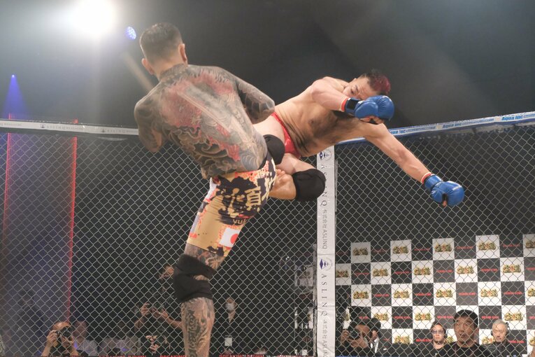 ©Norihiro Hashimoto