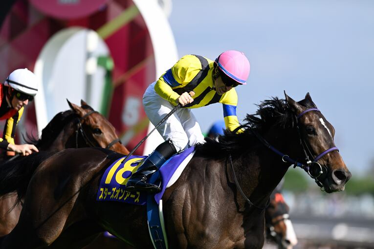 オークス直前に顔面を蹴られて放馬…発走“15分の大遅延”はなぜ起きたのか？「多くの馬の戦いは、スタート前に終わってしまった」(24)