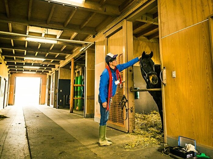 29歳の人気者“チケゾー”の今。最高齢ダービー馬へ柴田政人の伝言。＜Number Web＞ photograph by Kei Taniguchi