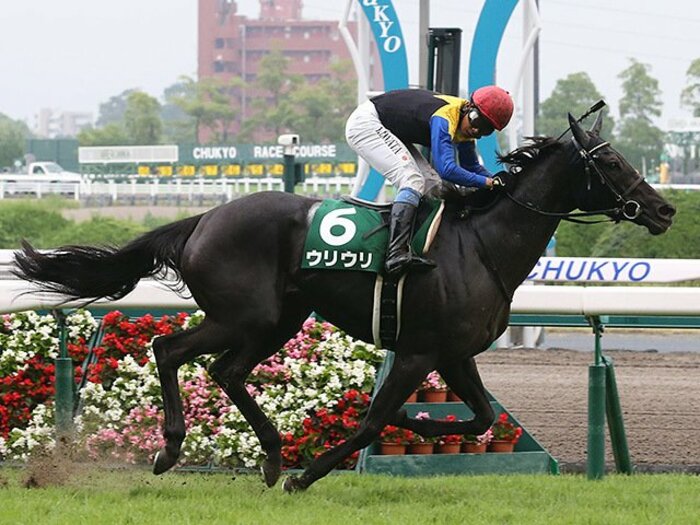 高松宮記念は「怪物」の姉が怖い。前が競れば、後方一気が届く気配。<Number Web> photograph by NIKKAN SPORTS