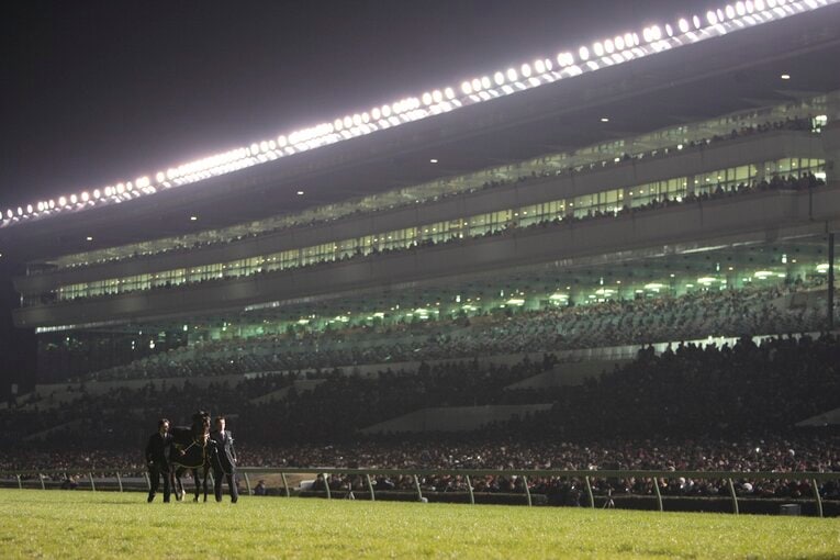 有馬記念後に行われた引退式。日が暮れても多くのファンがディープインパクトの勇姿を見届けた　©BUNGEISHUNJU