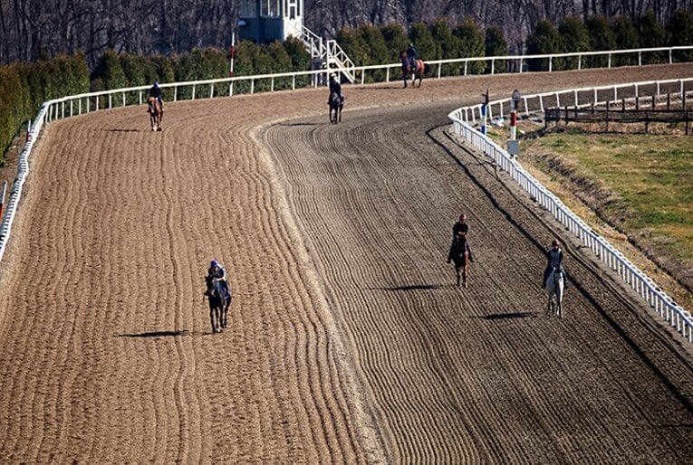 宝塚記念に登場する「最強の1勝馬」。2着7回のエタリオウが今度こそ？(4) ／ photograph by Kiichi Matsumoto