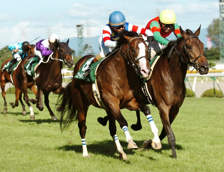 2006年の新潟2歳Sはマイネルーチェ（右）に騎乗し2着に。これがターニングポイントになった　©Sankei Shinbun