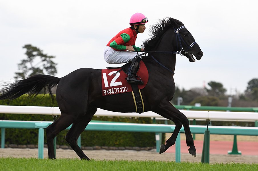 柴田大知とマイネルファンロン 苦労人が皐月賞で誓う 恩返し 競馬 Number Web ナンバー