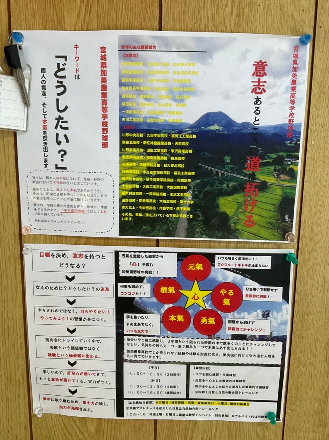 佐伯監督お手製の野球部紹介PDF