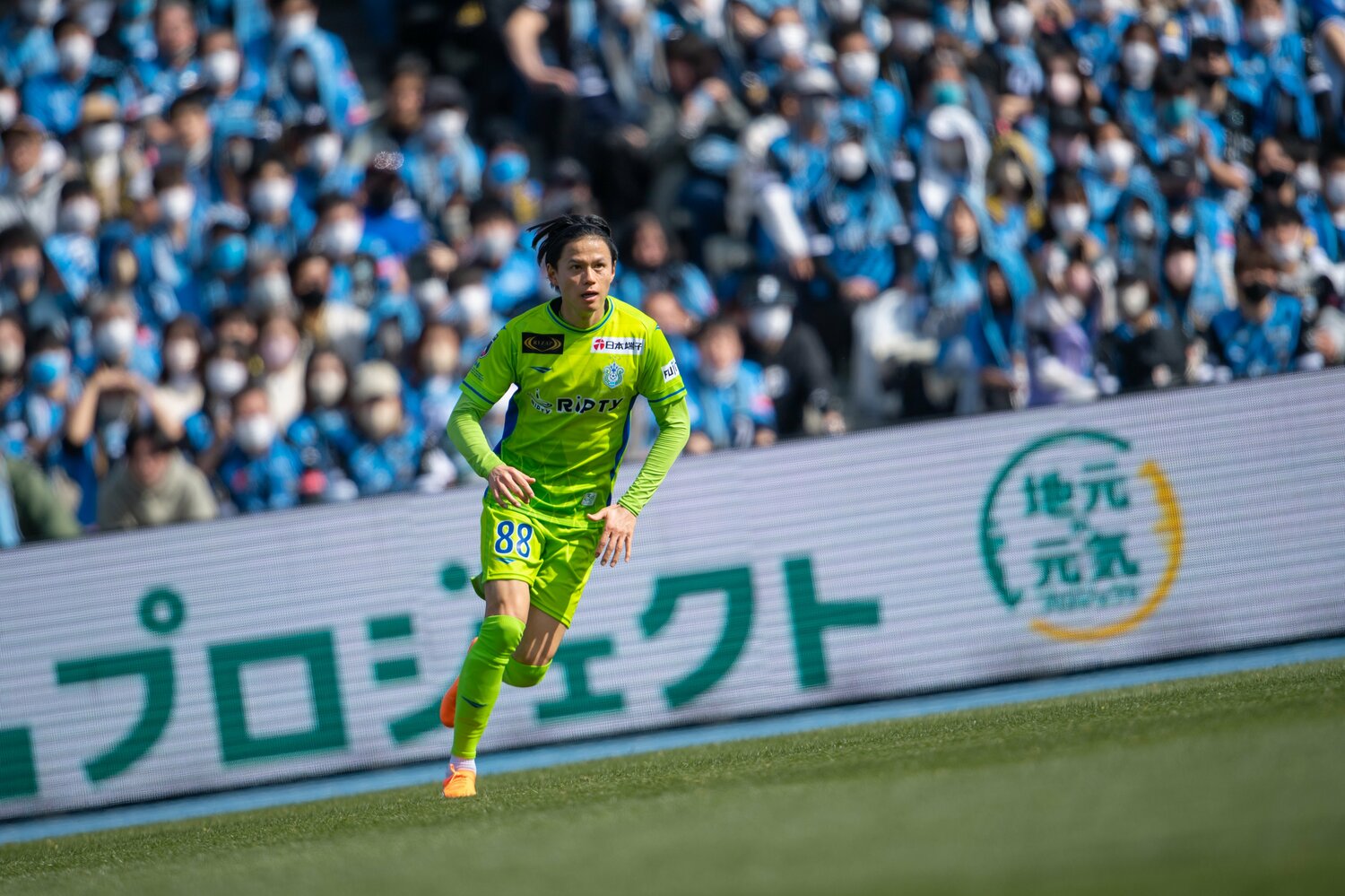©SHONAN BELLMARE