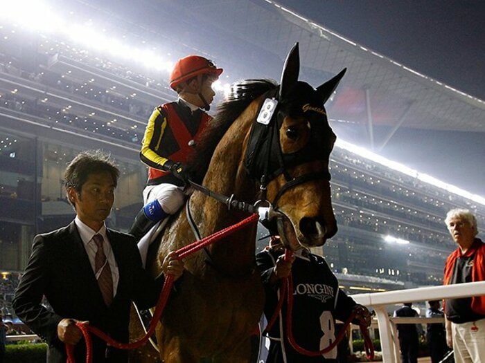 今年の宝塚記念は海外も大注目！充実のジェンティル、凱旋門への射程。＜Number Web＞ photograph by REUTERS/AFLO