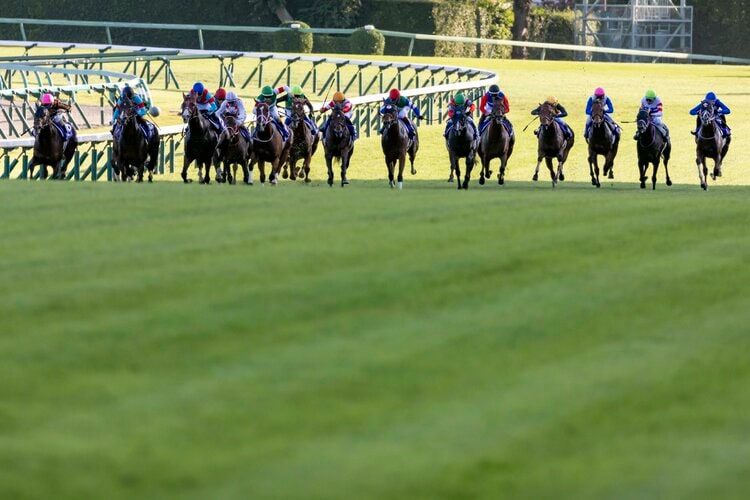 横綱相撲をとれた」スプリンターズSを制した3歳馬ピクシーナイトに福永祐一が抱いていた確信〈タイキシャトルに並ぶ記録も達成〉（2／3） - 競馬 -  Number Web - ナンバー