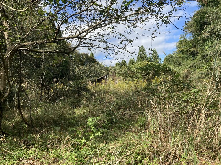 施設への道中には草が生い茂る　©Hiroki Kakehata