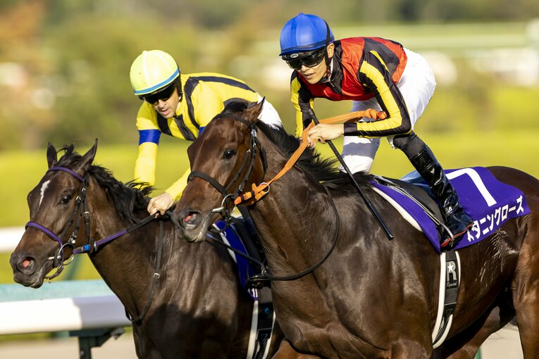 秋華賞を制したスタニングローズも侮れない　©Photostud