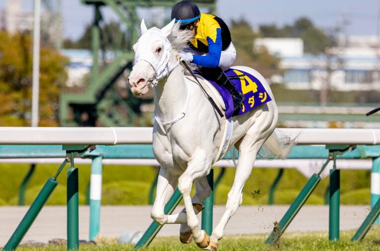 今年の桜花賞を見事制した白毛馬ソダシ。オークスでは8着に敗れたが、札幌記念で再び力を見せられるか？ ／ photograph by Photostud