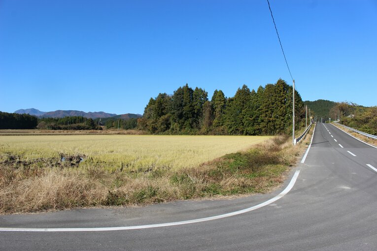 手塚裕之の実家の田んぼ　©Number Web