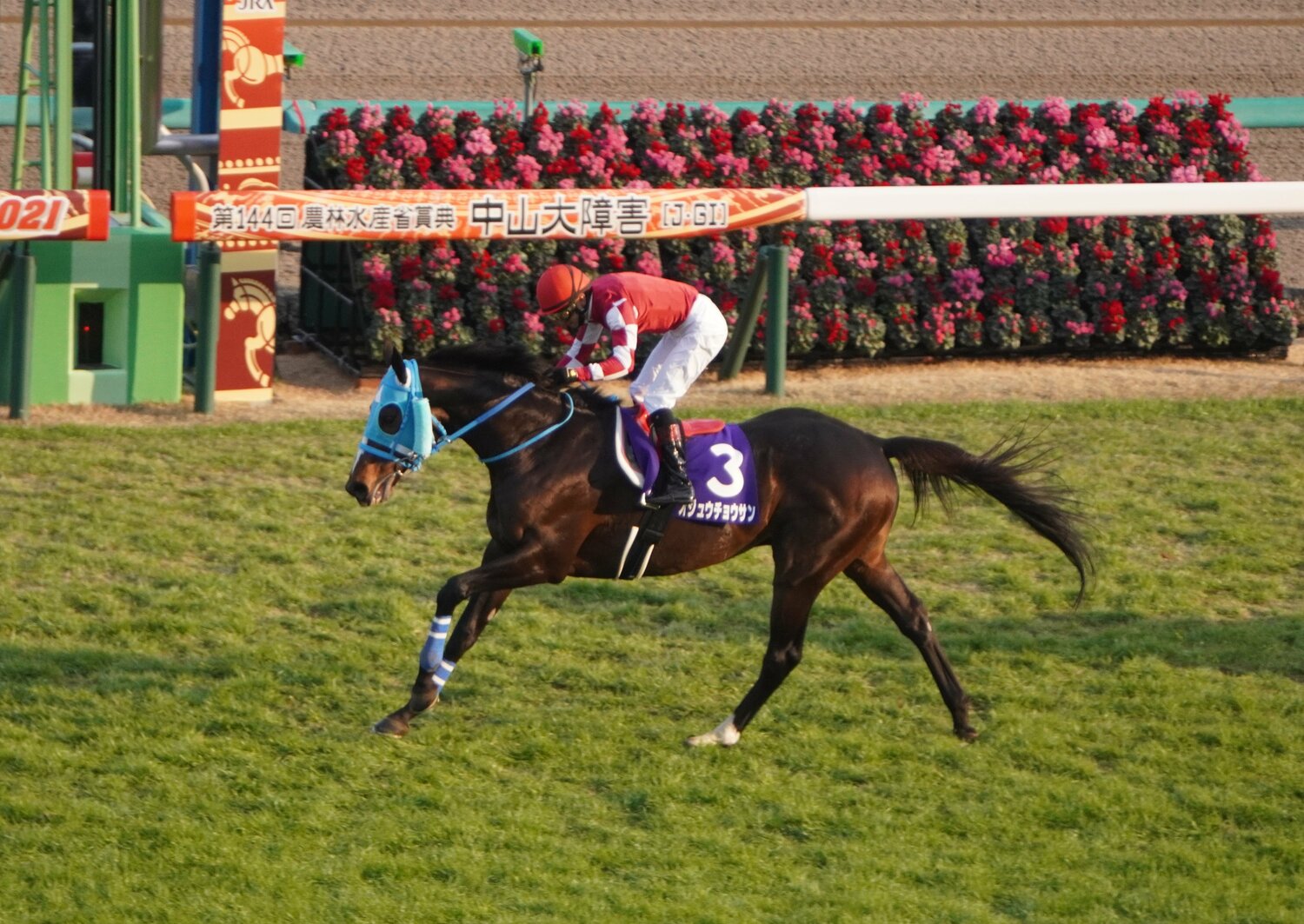 中山大障害で復活優勝を果たしたオジュウチョウサン　©Satoshi Hiramatsu