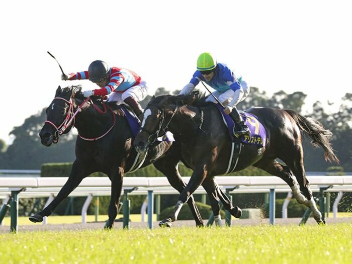 2021年の平地GI全24レースの勝ち馬を大予想 コントレイルら昨年のスター馬は何勝できるのか?<Number Web> photograph by Kyodo News