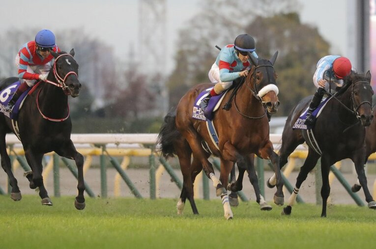 2020年のジャパンカップ最後の直線。アーモンドアイ（中央）が抜け出し、コントレイル（左）は2着、デアリングタクト（右）は3着 ／ photograph by KYODO