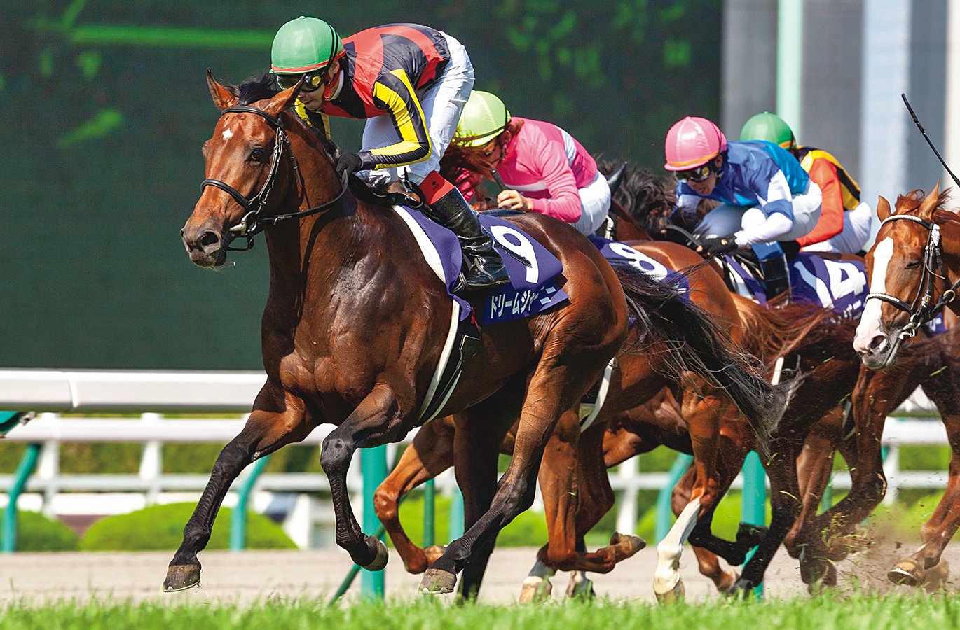 【現地・単勝的中】ドリームジャーニー＆オルフェーヴル　兄弟GⅠ制覇 気性の激しさは弟オルフェーヴルそっくり」ドリームジャーニーが