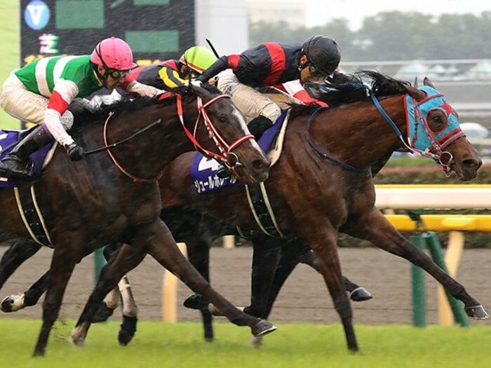 ヴィクトリアマイル制した好騎乗。瞬発力を引き出した幸のコース取り。＜Number Web＞ photograph by Yuji Takahashi
